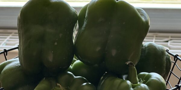 Fresh Bell Peppers