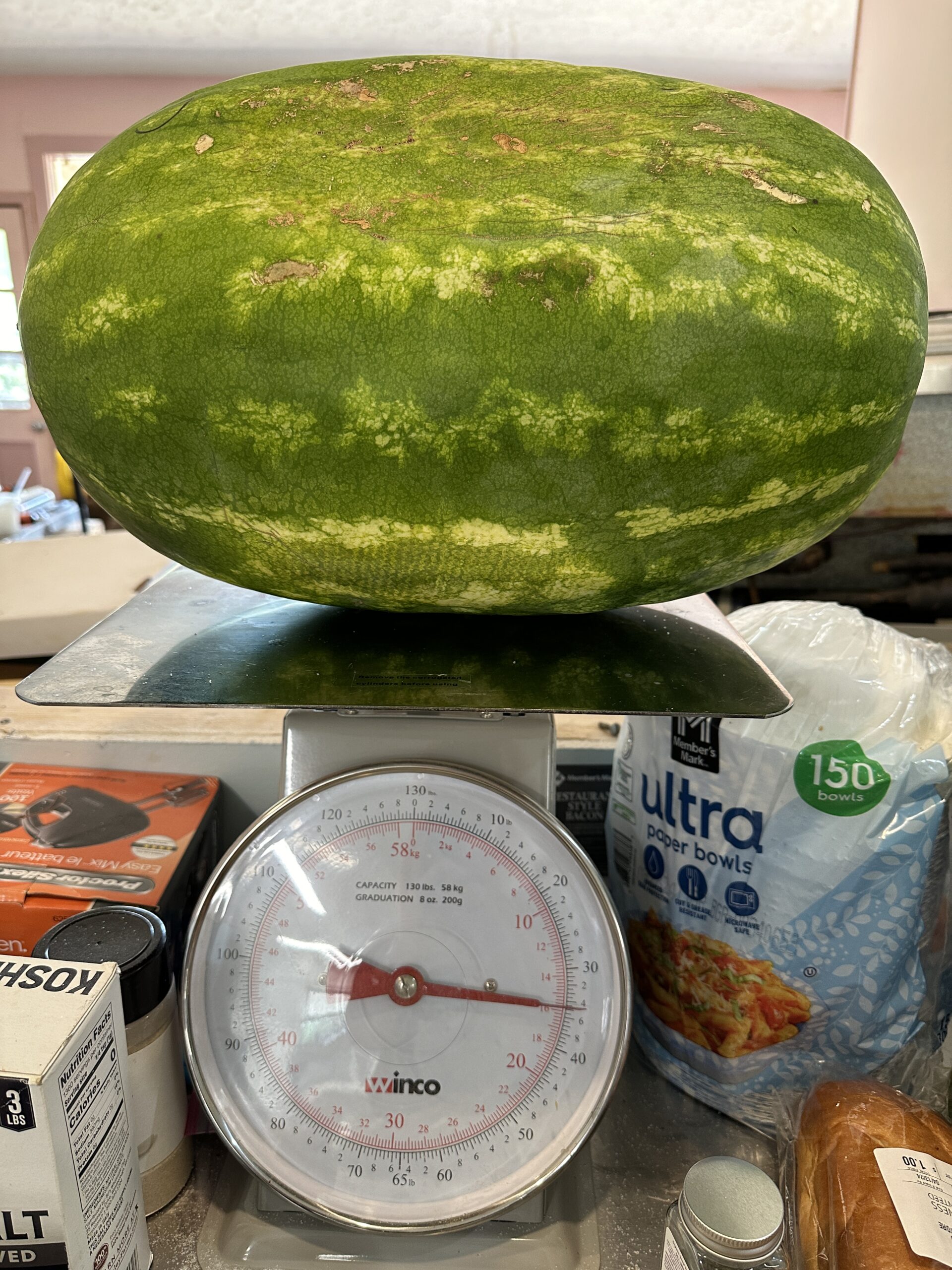 35# watermelon on scales